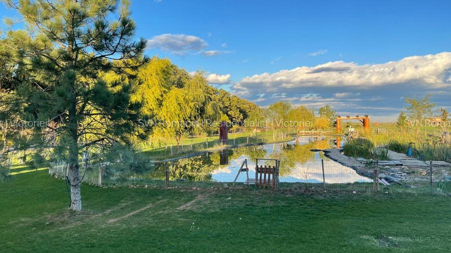 REV2003243 Monument al Naturii in ILFOV Gradistea - 5