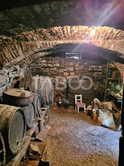 Casa de vanzare in comuna Cut Judetul Alba - 6