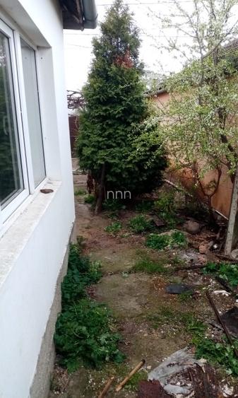 Proprietar închiriez casă în zona Gheorgheni, Iulius Mall - 2