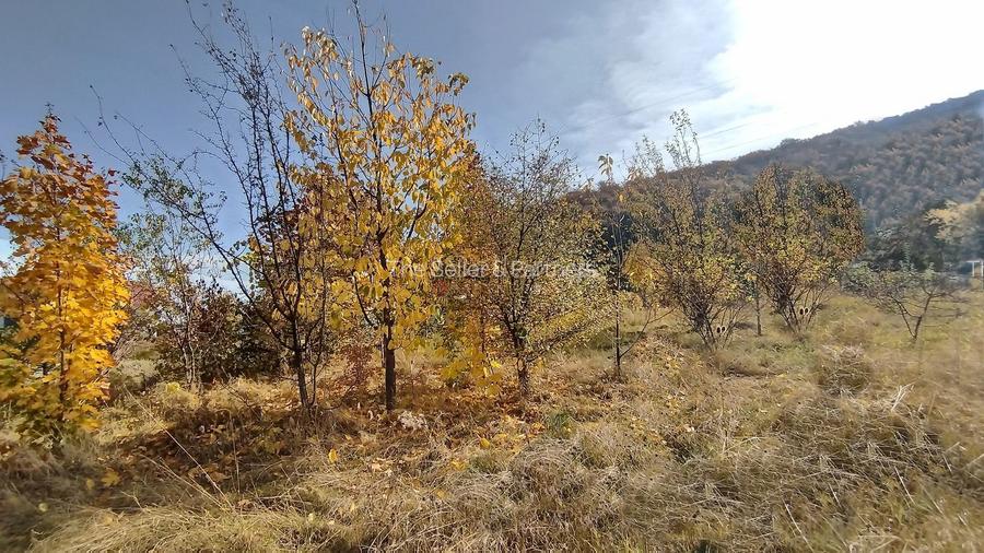 Teren Intravilan Bunloc - 14