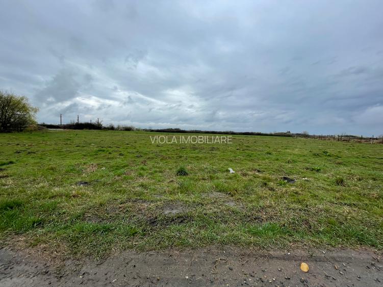 De vanzare doua parcele de 730 mp la Sanmihaiu Roman - 2