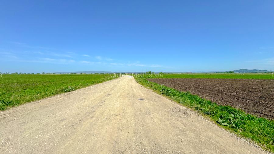 Teren intravilan, 1.7 hectare, Stupini Strada Barsei - 4
