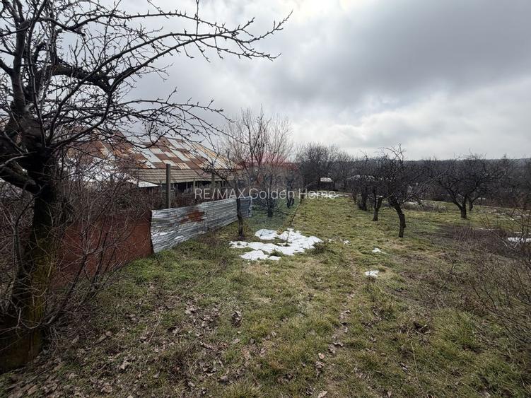 Casă cu 4 camere si teren 7727 mp Blidari - 23