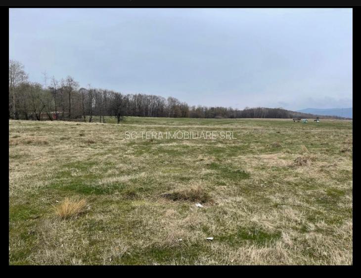 VANZARE TEREN INTRAVILAN - 7