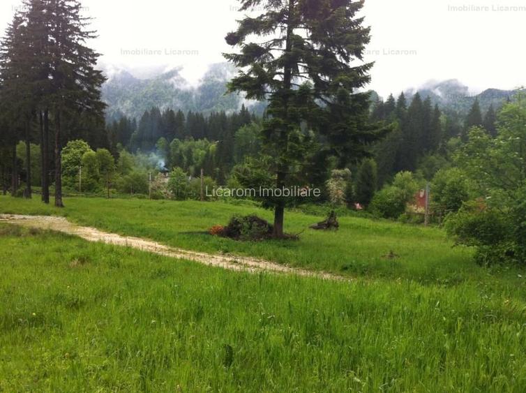 Teren intravilan Cotul Donului,pretabil Hotel/pensiune. - 4