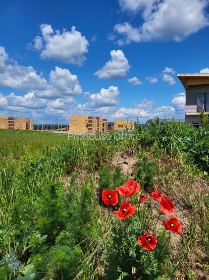 LA 20 DE MINUTE DE BUCURESTI LA TANCABESTI TEREN  LAC - 2