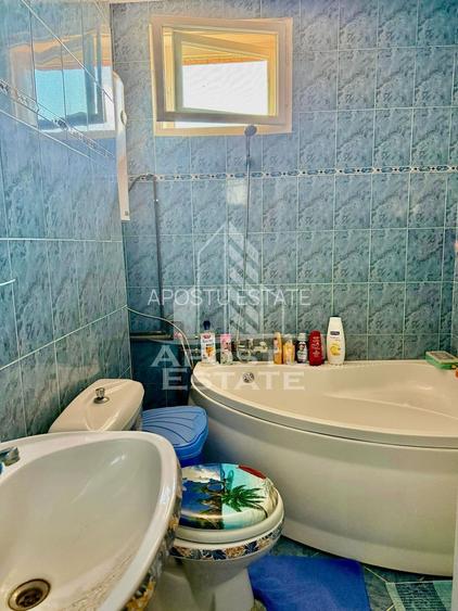 Casa individuala plus anexa, de vanzare,zona centrala in Faget - 22