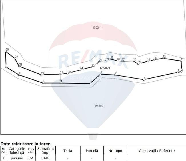 Teren intravilan, 56000 mp, Poiana Brașov - 11