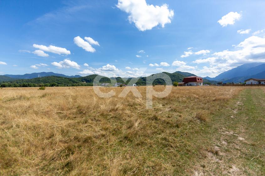 Teren intravilan 1.065 mp | Valea Glăjăriei – Râșnov | 40 €/mp