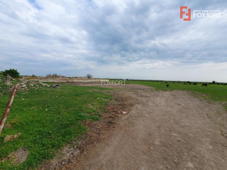 Teren intravilan cu suprafata de 58.340 mp, in Sanmartinul Sarbesc - 24