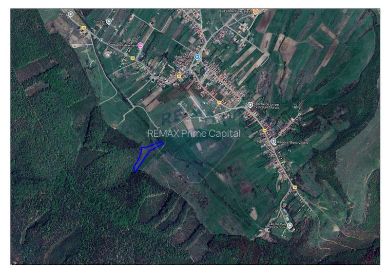Teren intravilan, 9465 mp, Betfia, lângă pădure, de vânzare - 3