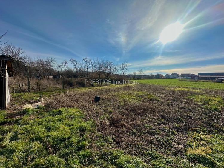 Teren de 1400 mp la strada principala in Salard - Bihor - 2