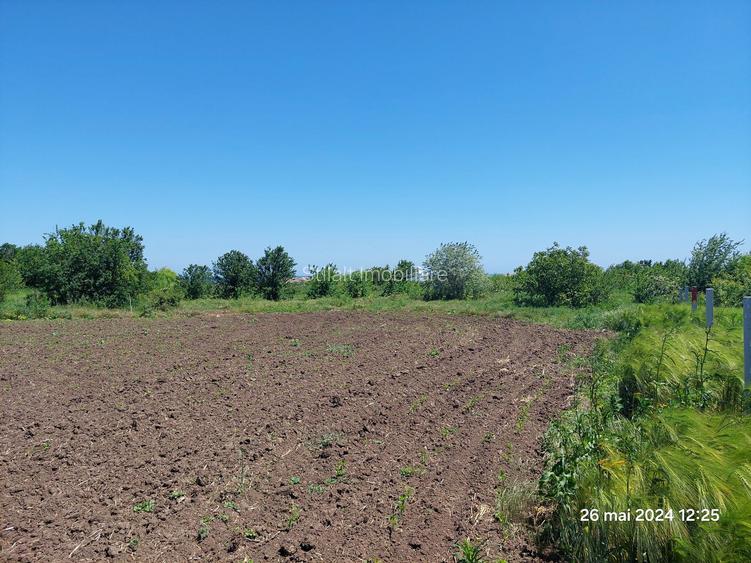 Teren  intravilan  540 mp / Vama Veche - 12