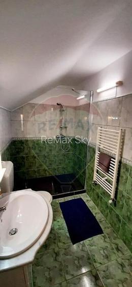 Cabana de vânzare în Valea Mănăstirii, Alba - 11