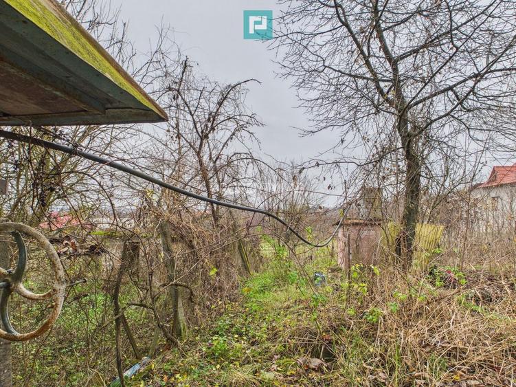 Casă 70 mp în Diosig, 1230 mp teren, cu Crama 25mp - 4