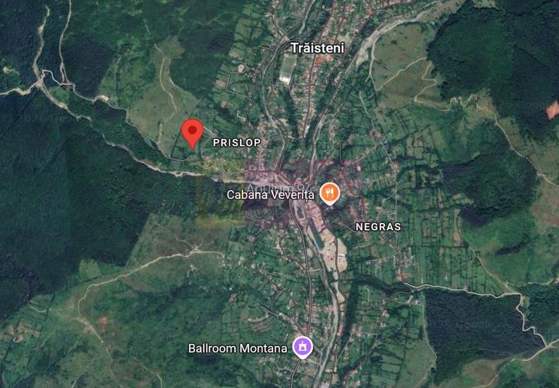 Teren intravilan 2200 mp de vanzare in Valea Doftanei - 6