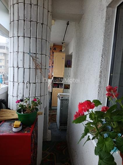 Apartament 2 cam., Bd. Fratii Golesti, Pitesti, et.4/8, an 1993, 70 mp - 13