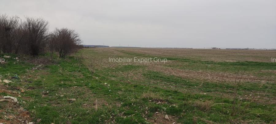 OCAZIE UNICA TEREN IEFTIN-PUZ INDUSTRIAL CERNICA, PALLADY - 2