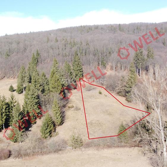 Teren extravilan de vânzare în Covasna! - 2