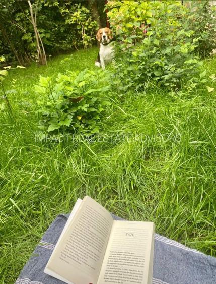 2 camere parter | pet friendly | acces gradina Floreasca - Garibaldi - Verdi - 35