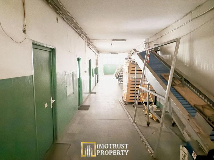 Hala industriala de vanzare Arad – 589 mp - 5