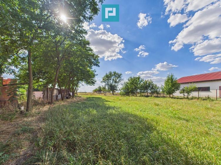 Casă P+E în Dudeștii Noi - 12