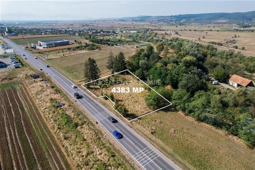 FILM!Teritoriu versatil:4.383 mp intravilan, deschidere 47ml, Sfantu Gheorghe - 5