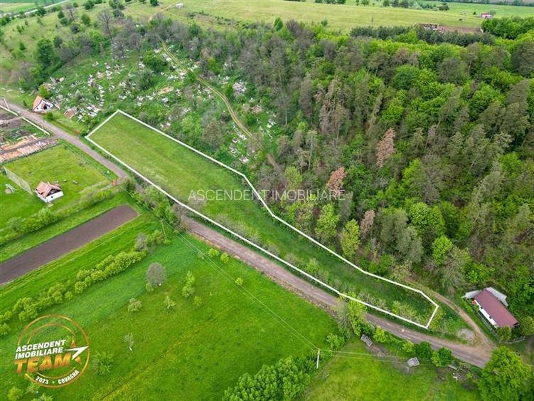 FILM! Teren intravilan, 6.500 mp, Papauti, Covasna - 4