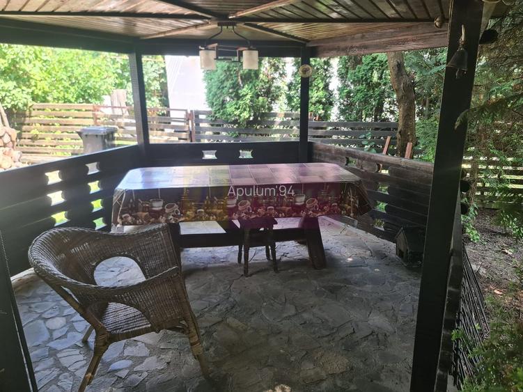 Vila de vanzare in Brebu - Zona Brebu Manastirei - 38