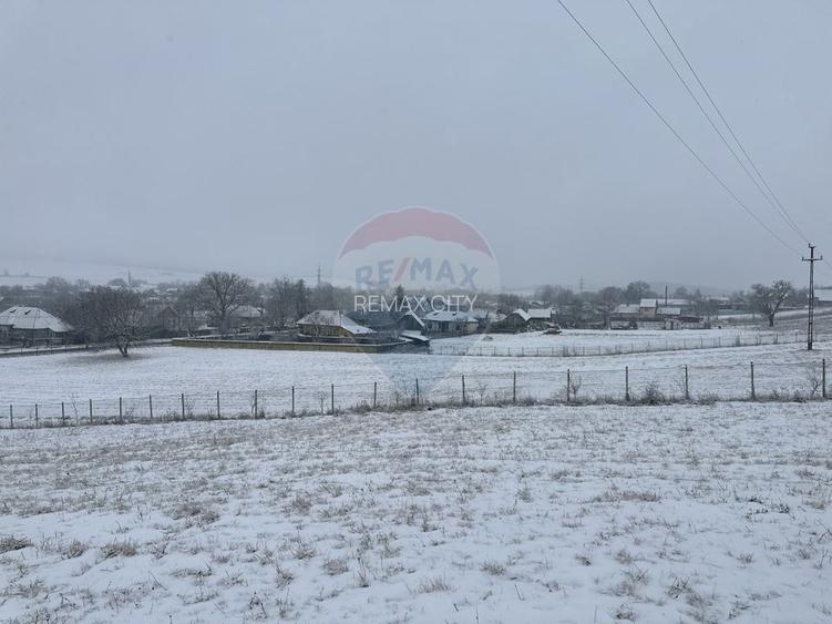 Teren 8,300mp Negresti (Dobreni) / Drumul DEALUL OTEL - 5