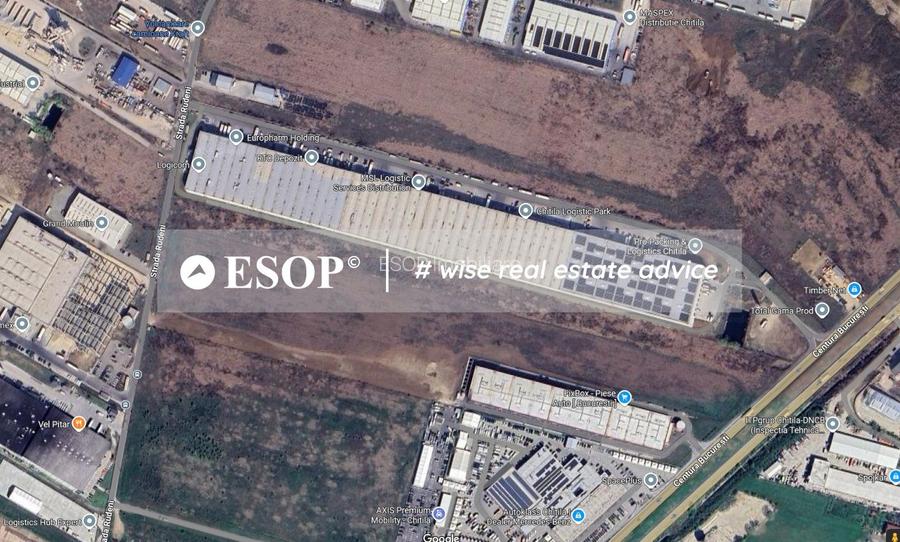 Vanzare Teren 10.000 mp – Rudeni, Chitila- ID 15475 - 4