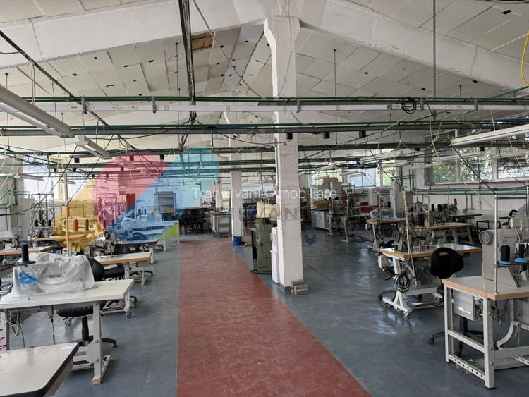 Complex industrial de vanzare – 2 hale productie + cladire birouri + parcare, ac - 10