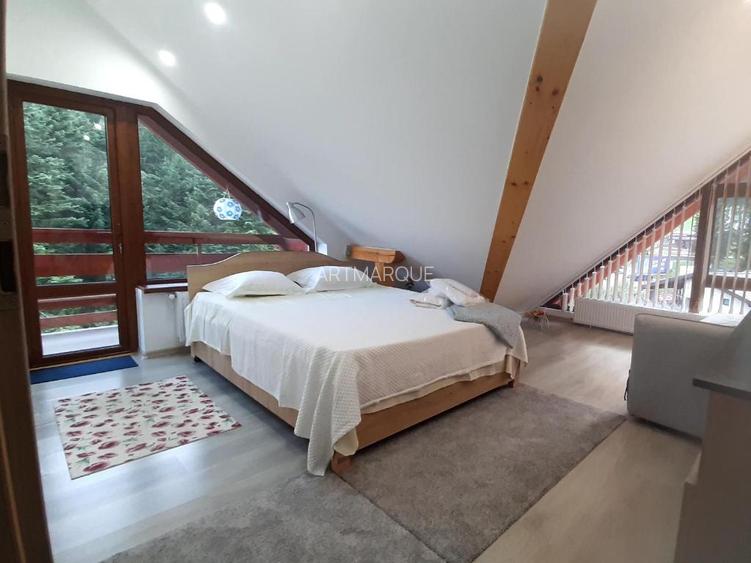 Apartament 2 camere vedere la Bucegi - 8