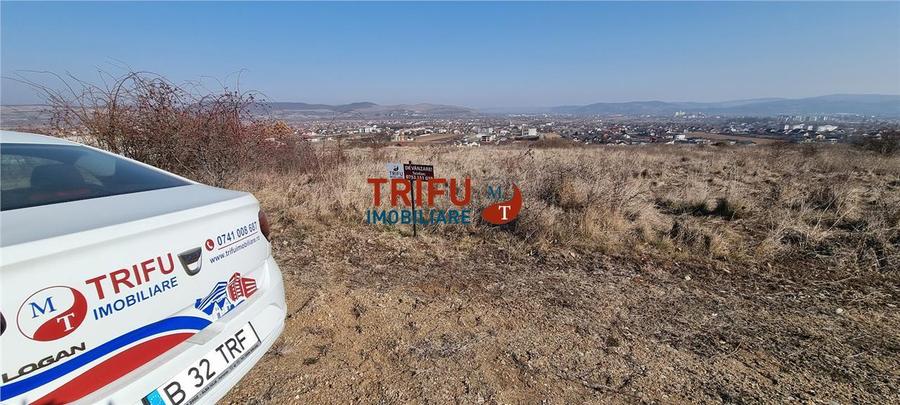 Teren Intravilan cu Priveliste Spectaculoasa în Alba Micesti - 660 mp