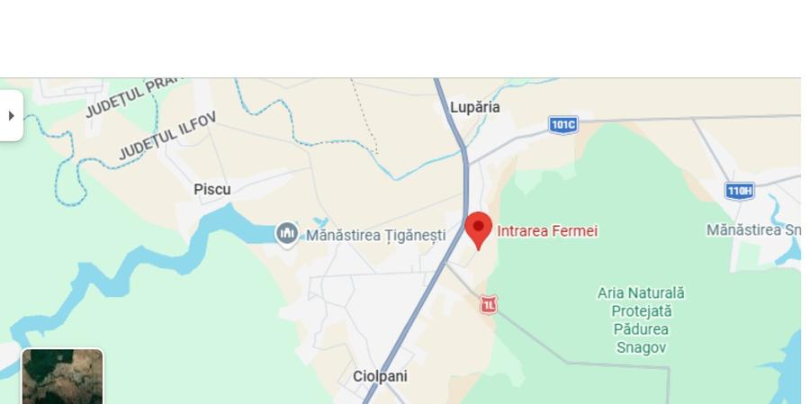 Teren 7000m²  Ciolpani - DN1