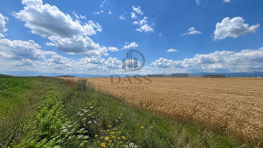 Teren intravilan 38.676 mp | 10 parcele | Zona de Vest - 3