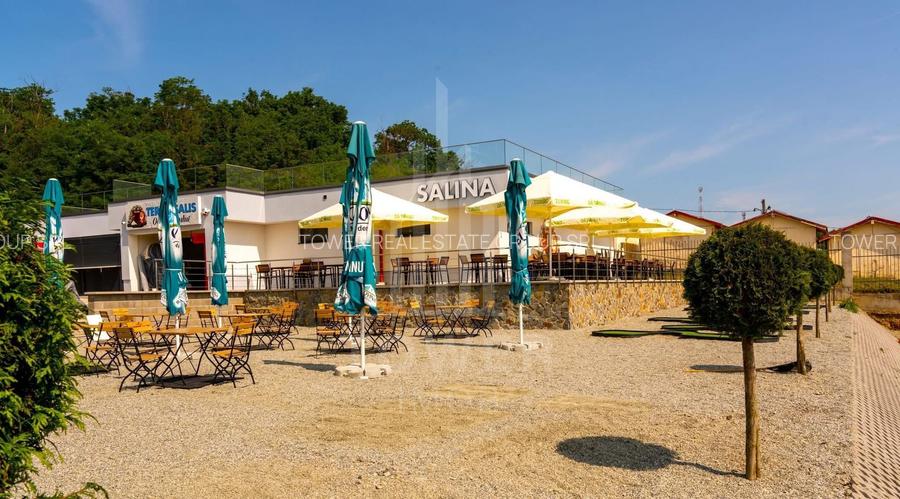 Afacere Profitabilă de Vânzare–Salină Artificială Funcțională în Ocna Sibiului - 4