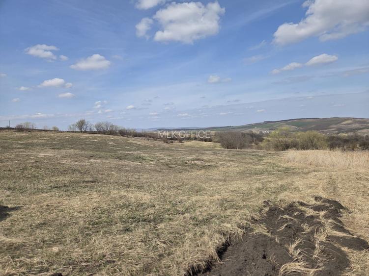 Teren de vanzare Pata Cluj - 2