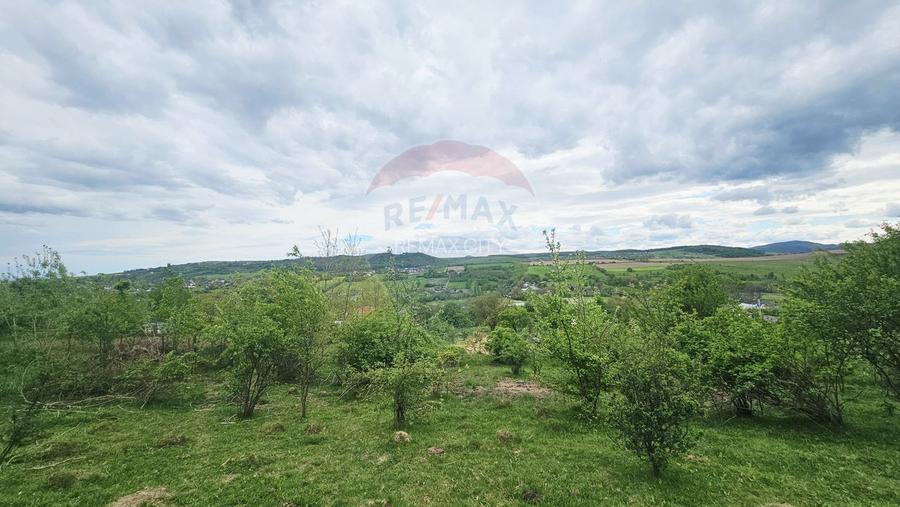 Teren 5,350mp Dobreni / Strada Manastirea Horaita - 8