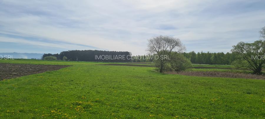 TEREN EXTRAVILAN - 2.100 mp - RECI - 5