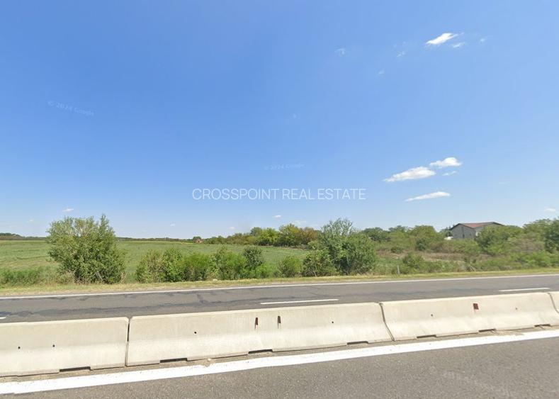 Teren de vanzare Ciolpani - 3