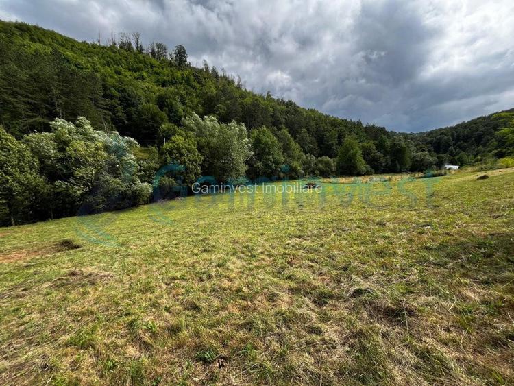 Teren extravilan de vanzare in Calatea, comuna Astileu, Bihor - 2