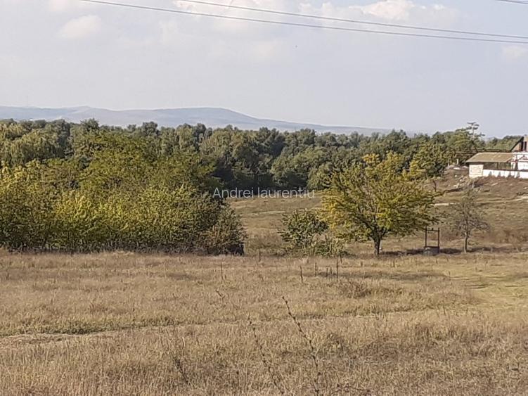 OCAZIE:Teren intravilan Tulcea-19euro/m.p. - 11