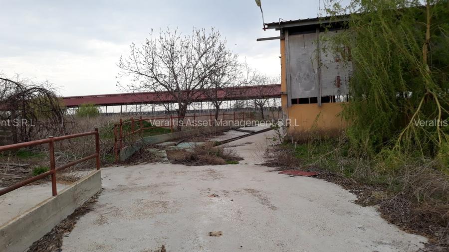 de vanzare Ferma Vaci - 10