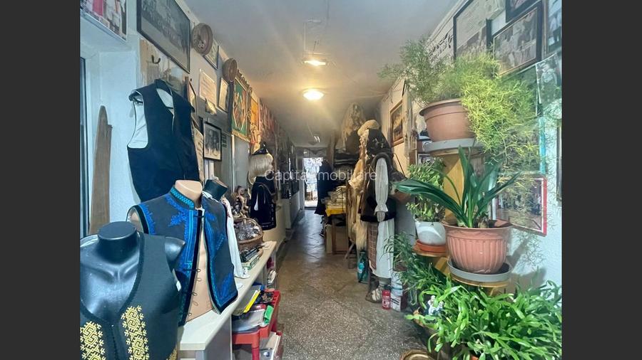 Casa cu garaj in Calnic, 231 mp construiti - 11