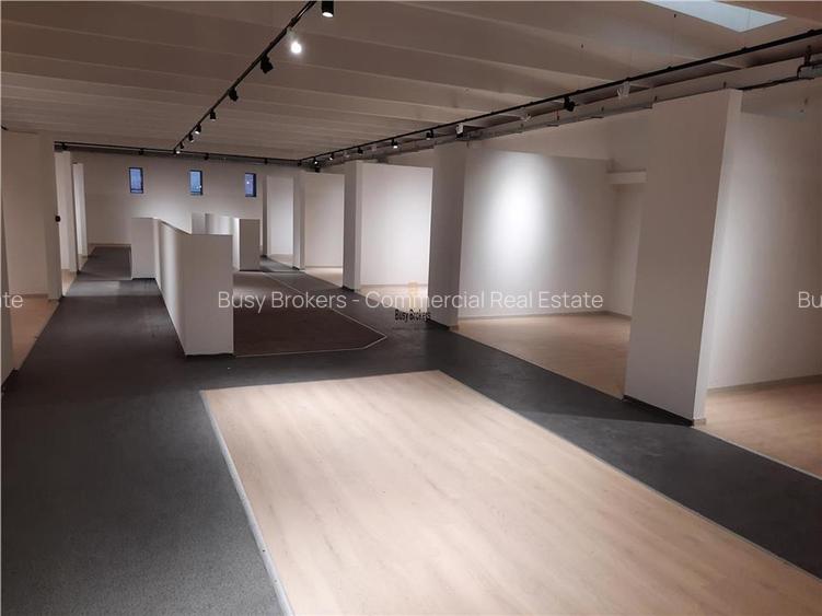 Spatii Comerciale - 500 mp - Showroom - Comert - 17