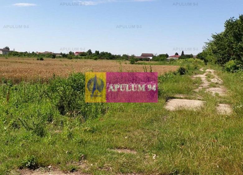 Teren construcție casă - 1 Decembrie - Zona Metropolitană București - 38