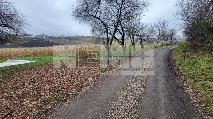 TEREN MOARA I SUCEAVA I LOC DE CASA I 20Ari I 60,000Euro - 5