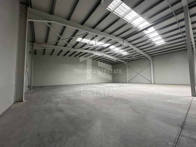 CENTURA - Rudeni | HALA 510 mp| Birouri 60mp | Parc Industrial nou - 3