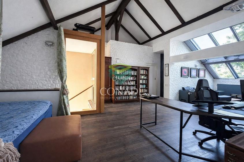 Zona Iancu Nicolae, vila de vanzare, 382 mp construiti - 4